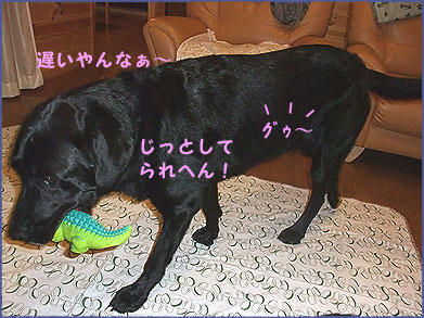 091008_8.jpg