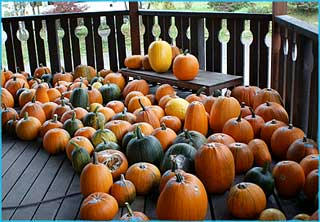 091010_7.jpg