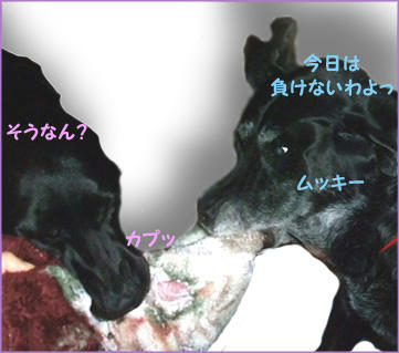 091022_1.jpg