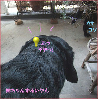 091023_4.jpg