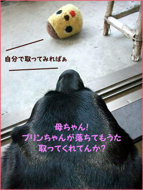 091023_7.jpg