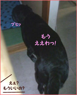 091023_10.jpg