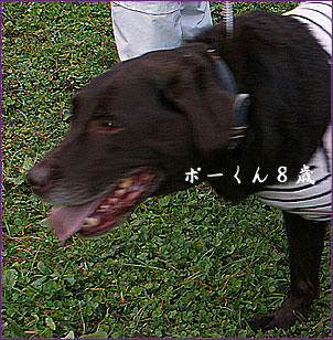 091029_7.jpg