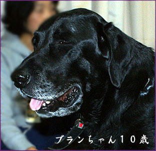 091029_8.jpg