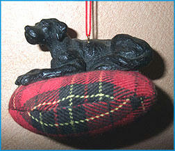 091104_4.jpg