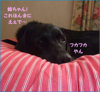 091104_7.jpg