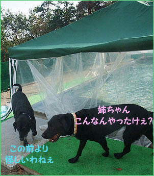 091109_4.jpg