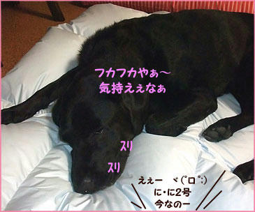 091112_1.jpg
