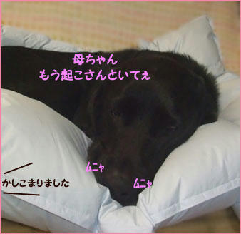 091112_4.jpg