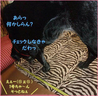 091112_5.jpg