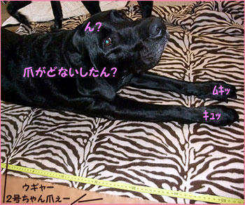 091112_6.jpg