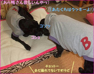 091114_11.jpg