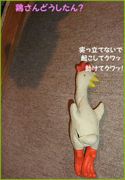 091119_3.jpg