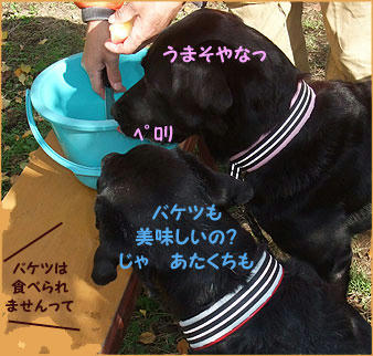 091122_7.jpg