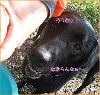 091122_8.jpg