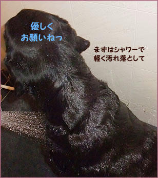 091203_5.jpg