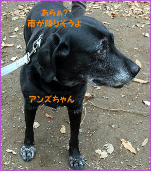 091205_1.jpg