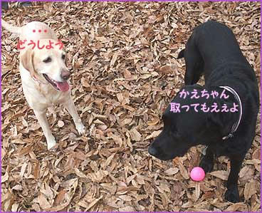 091205_6.jpg