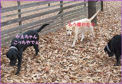 091205_7.jpg