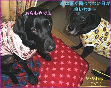 091205_10.jpg
