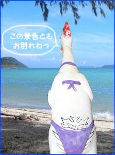 0912010_3.jpg