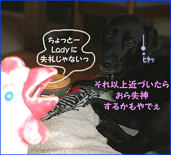 0912010_9.jpg