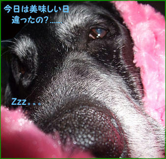 0912024_2.jpg