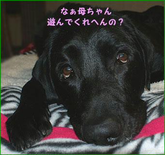 0912024_3.jpg