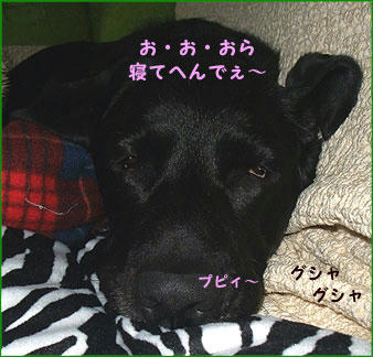 0912024_5.jpg