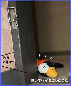 100106_5.jpg