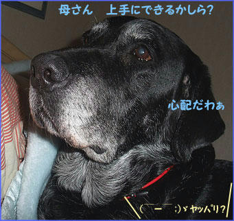 100106_6.jpg