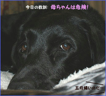 100106_9.jpg