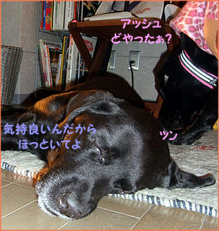 100125_5.jpg