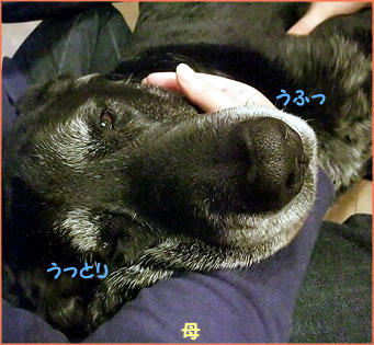 100125_7.jpg