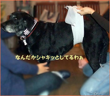 100125_9.jpg
