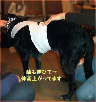 100125_10.jpg