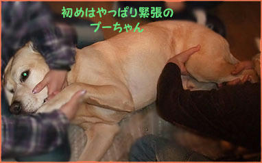 100125_12.jpg