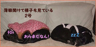 100125_13.jpg