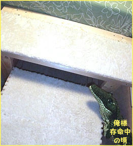 100128_2.jpg