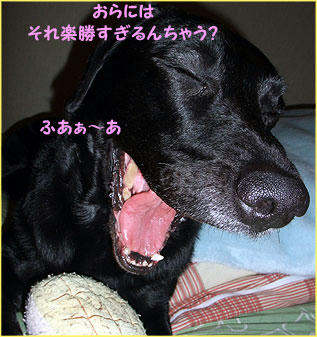 100128_7.jpg
