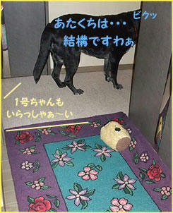 100128_8.jpg