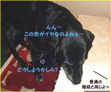 100128_12.jpg