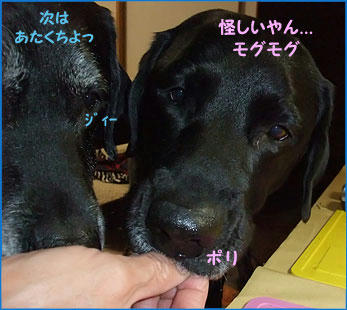 100204_7.jpg