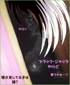 100304_2.jpg