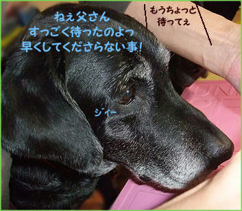 100304_6.jpg