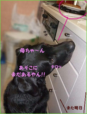 100304_10.jpg