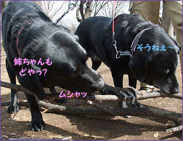 100324_4.jpg