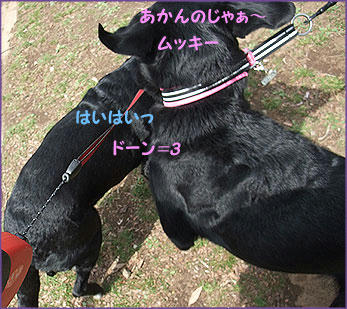 100324_7.jpg