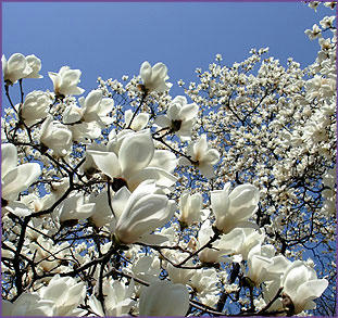 100324_8.jpg