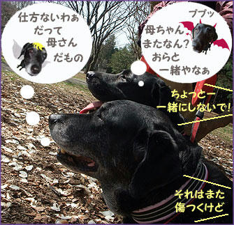 100324_11.jpg